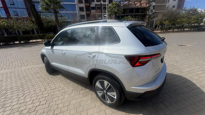 skoda karoq 2L 