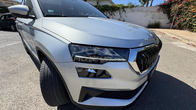 skoda karoq 2L 