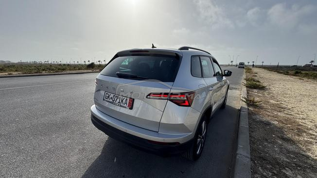 skoda karoq 2L 