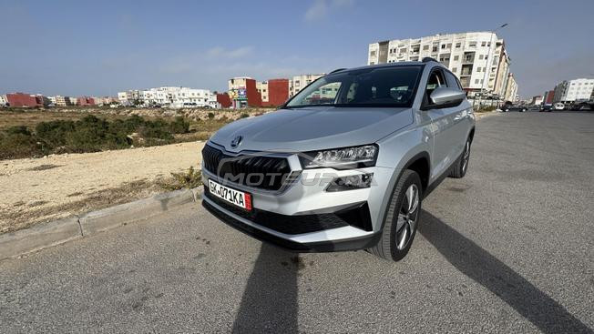 skoda karoq 2L 