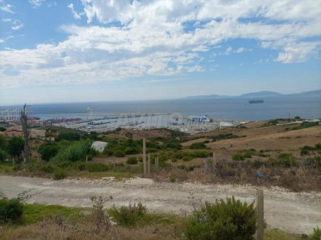 أرض للبيع بقصر الصغير، طنجة المتوسط - 2