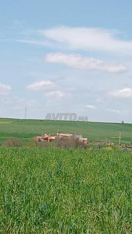 أرض قرب جمعة حودران قرب الرومبوان