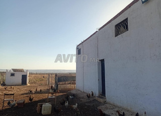 Vente terrain agricole équipé