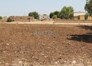 أرض للبيع في جماعة الحوزية على بعد 20 كم من الجديدة