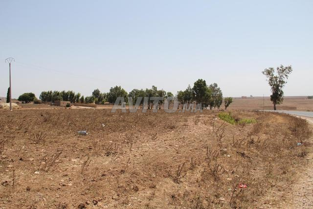 Terrain a vendre a jamaat hawziya 20km d'el jadida - 2