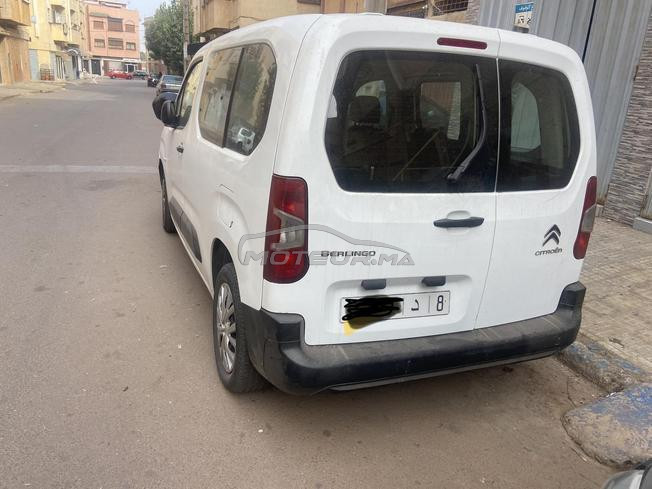 BILINGO MODEL 2022/07