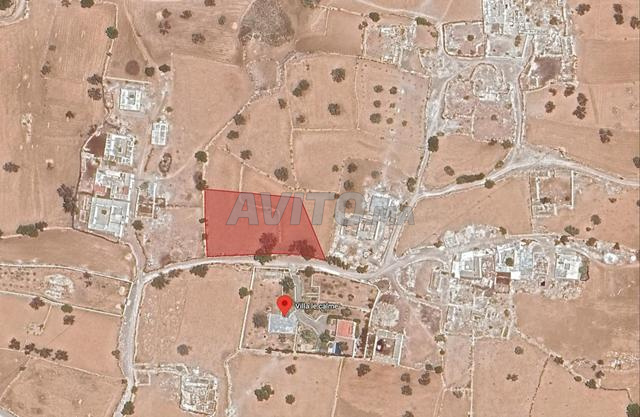 Terrain à vendre –Sidi Kaouki, à 18 km d’Essaouira - 2