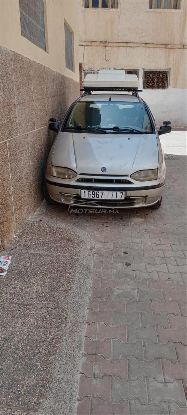فياط بليو عامرة