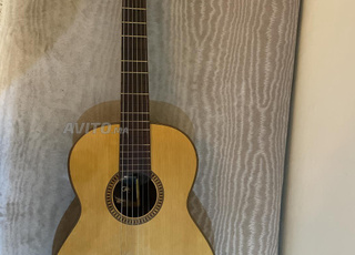 غيتار جيانيني برازيل