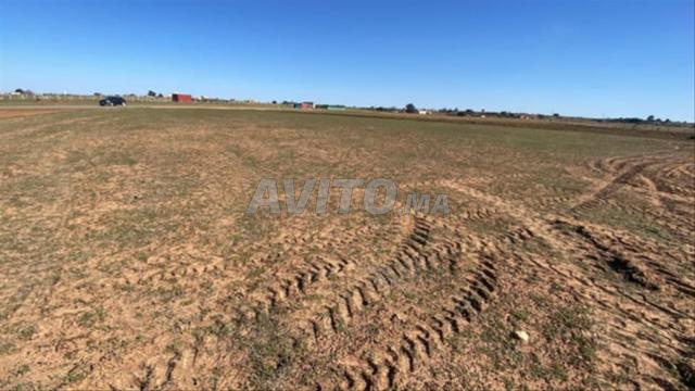 Hectare et demi sur route carrée, proche à 8km