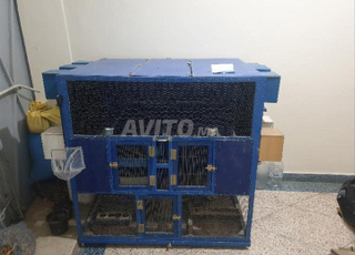 Théâtre pour oiseaux