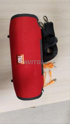 Haut-parleur T&G Baff original