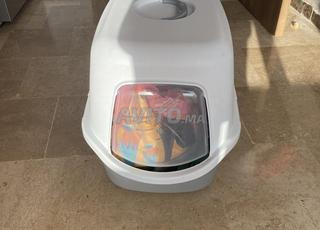 إكسسوارات قطط