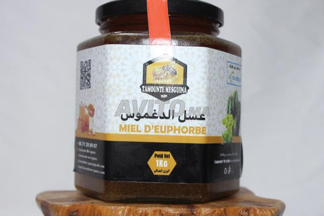 MIEL D’EUPHORBE 1KG عسل الدغموس