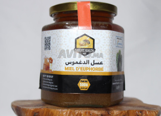 عسل الدغموس MIEL D’EUPHORBE 500G