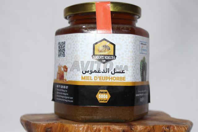 MIEL D’EUPHORBE 500G عسل الدغموس