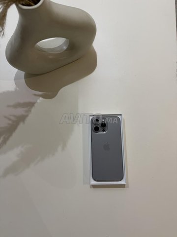 iPhone 15 Pro Max Natural Titanium 256 GB