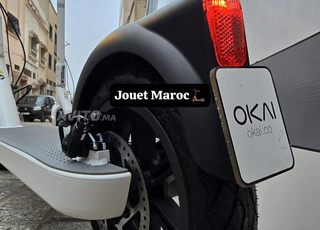TROTTINETTE OKAI LITE ES10