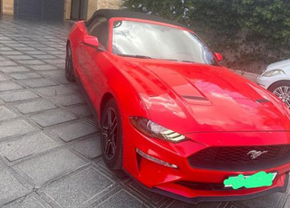 Ford 2020 américain