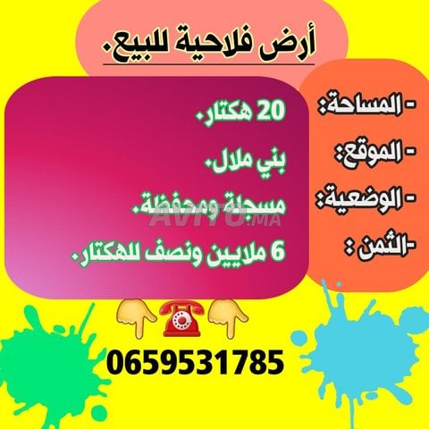 أرض فلاحية للبيع بمساحة 20 هكتار في بني ملال