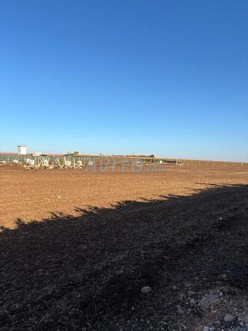 Terrain foncier 1 ha 2700 m² Moualine El Ouad