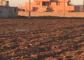 FERME A VENDRE SOUIRIA