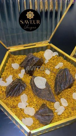 Bois de Oud Qomari - Serghina Fassia arrosée -