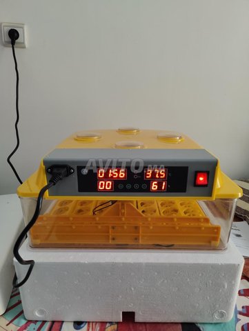 couveuse automatique 112 oeufs