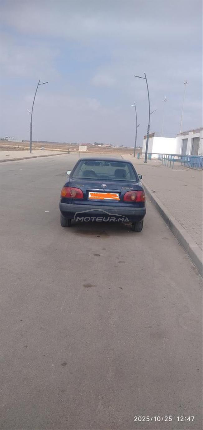  طويوطا صبارة