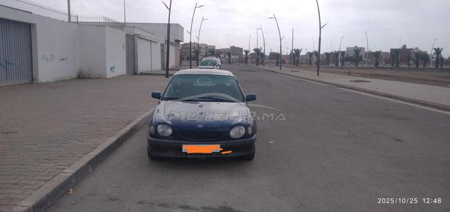  طويوطا صبارة