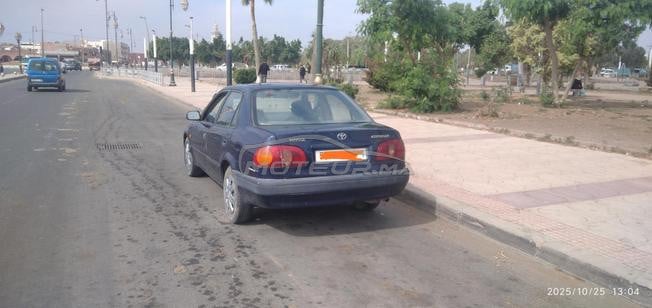  طويوطا صبارة