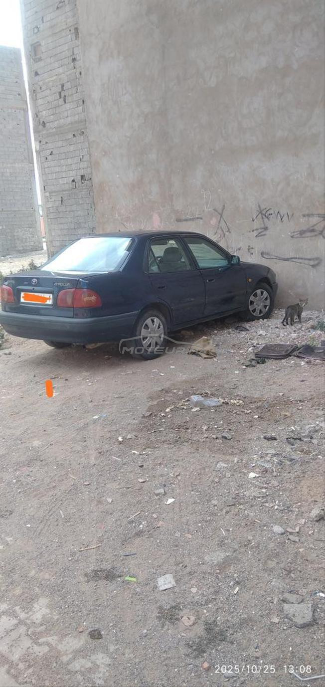  طويوطا صبارة