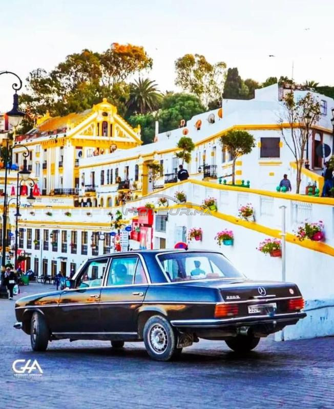 Mercedes Benz W115 ( corta )
