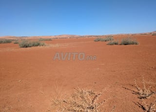 Terrain agricole titré à vendre
