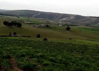 Terrain agricole à vendre à un prix raisonnable