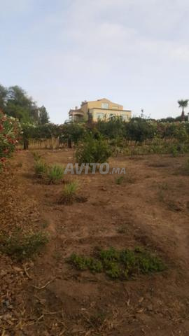 Ferme à vendre près de Bouznika