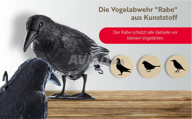 Corbeau Noir Épouvantail Efficace Repousse Oiseaux