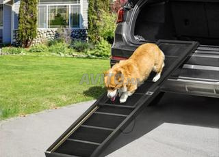 Rampe pliable pour chien – pratique et sûre