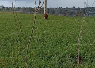 أرض محفظة تيتْر فونصي في سيدي العايدي