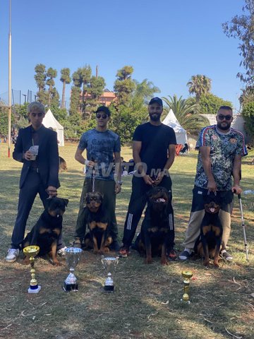 القنبلة البطلة الشابة