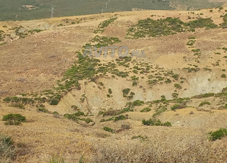 أرض منطقة فيلا A1 فرصة ذهبية لا تفوت