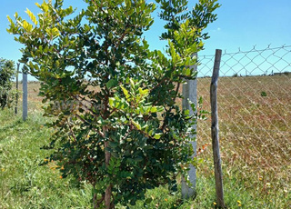 Vente d'un lot de terrain agricole