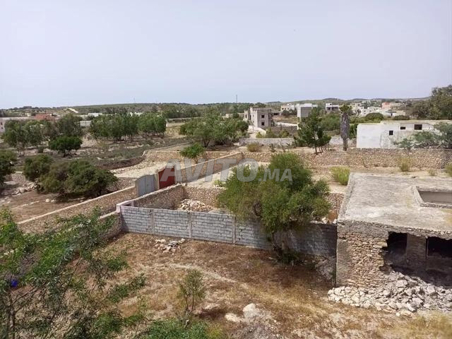 Terrain titré 496 m² avec ruine – Ghazoua (km 8) - 2