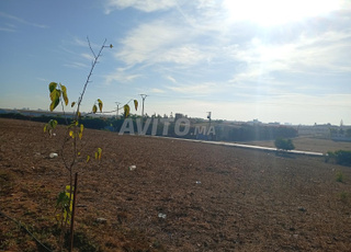 هكتار واحد للبيع في حد السوالم