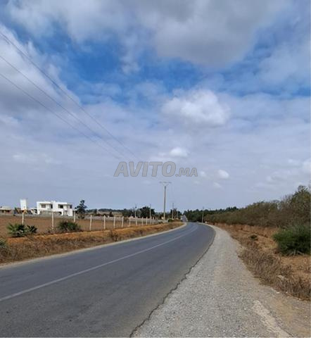 1 ha titré à Benslimane-Laayoune Ain Tizgha - 2