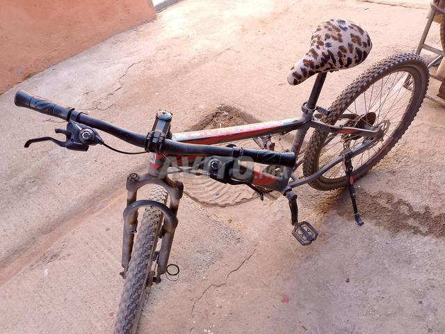 Vélo de type lTALIANO