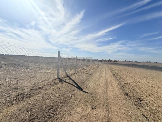 1.8 هكتار موثقة على بعد 7 كم من وسط مدينة بنسليمان