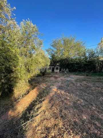 Terrain agricole titré à vendre à Douar El Kassar de 1668 mètres