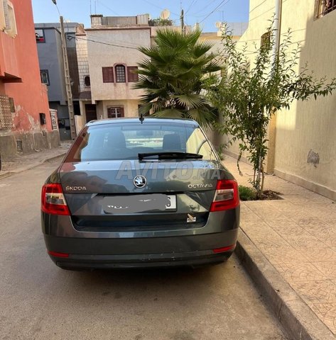 سكودا اوكتافيا ديزل أوتوماتيكية 2019 في الدروة