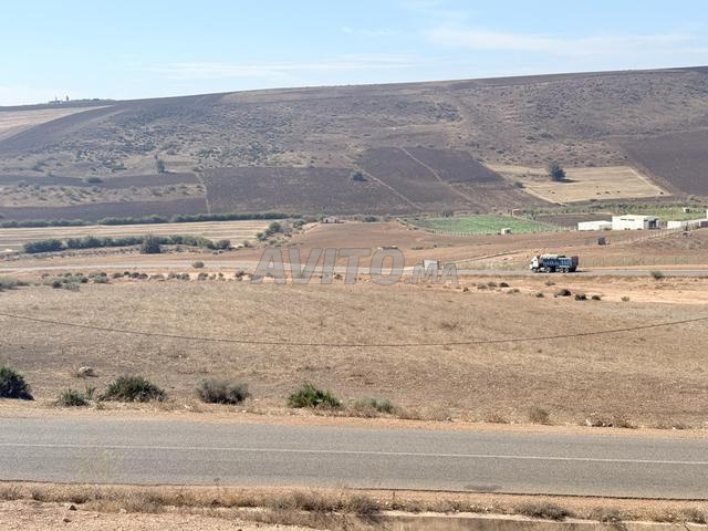 2.3 ha titré à Benslimane sur la route - 2